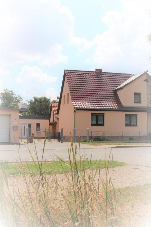 Landhaus "Zum Frosch" Kalbsrieth المظهر الخارجي الصورة